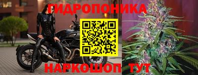 Альфа ПВП Татарск