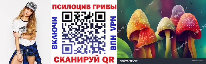 Псилоцибиновые грибы Psilocybe  где купить наркоту  Прокопьевск 
