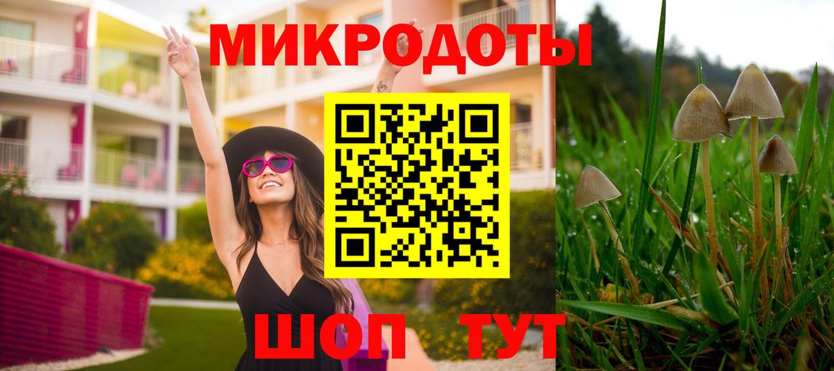 Галлюциногенные грибы мухоморы Прокопьевск