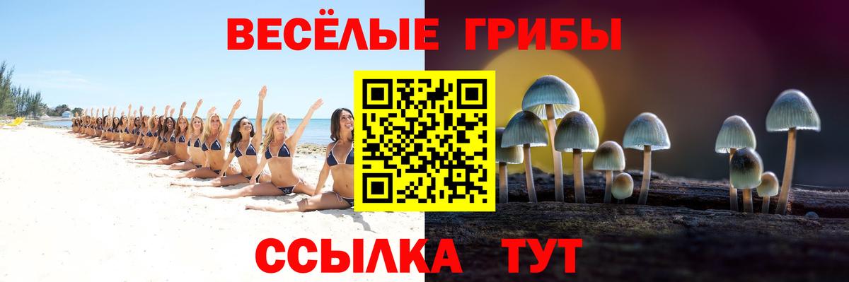 Прокопьевск  Галлюциногенные грибы Cubensis  Вход с VPN 
